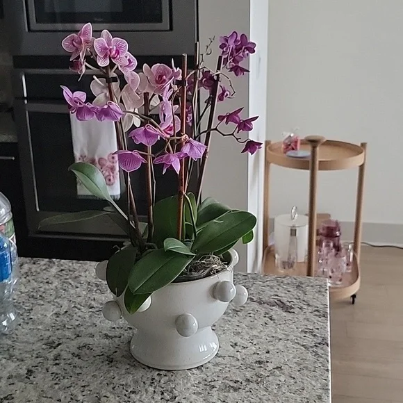 Unlisted Inventory - Picture 1 of 1